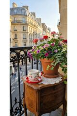 KİRAZ MOTİFLİ TOMBUL FİNCAN TABAKLI TAKIM